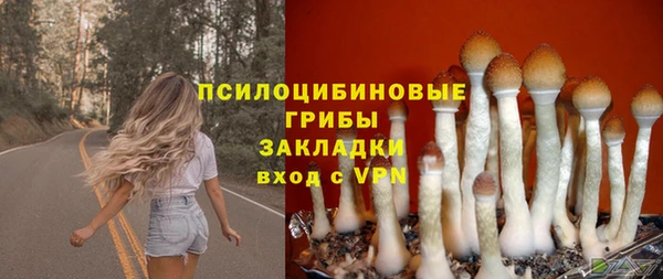 молекула духа Россошь