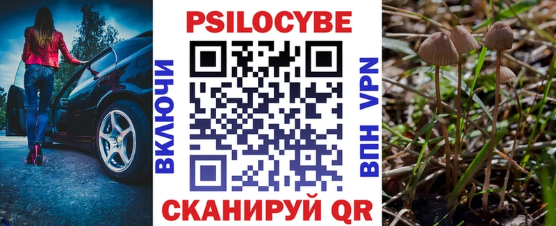 Псилоцибиновые грибы Cubensis Зубцов